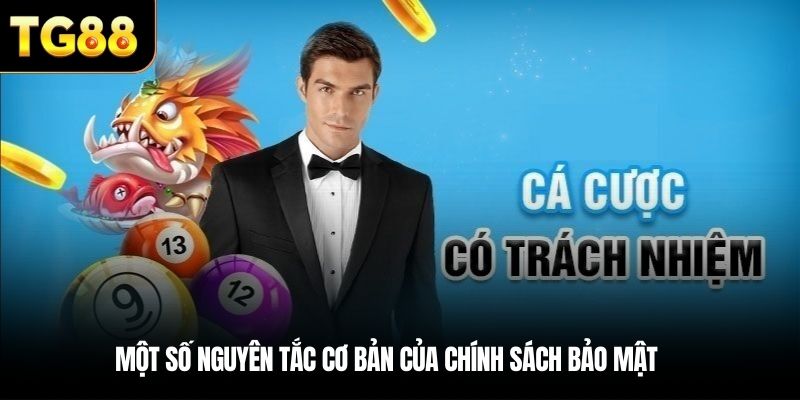 Một số nguyên tắc cơ bản của chính sách bảo mật