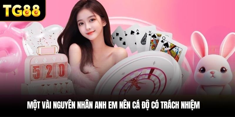 Một vài nguyên nhân anh em nên cá độ có trách nhiệm