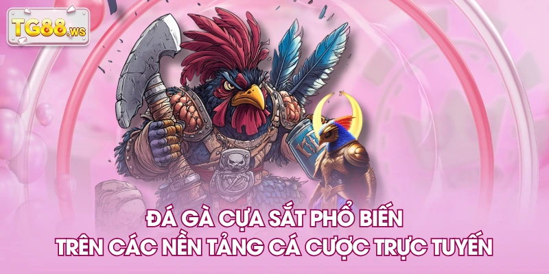 Đá gà cựa sắt phổ biến trên các nền tảng cá cược trực tuyến Đá gà cựa sắt phổ biến trên các nền tảng cá cược trực tuyến