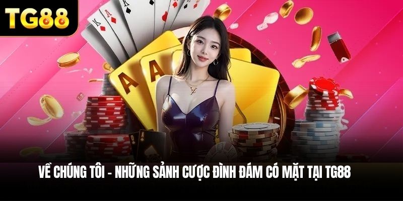 Về chúng tôi – Những sảnh cược đình đám có mặt tại TG88